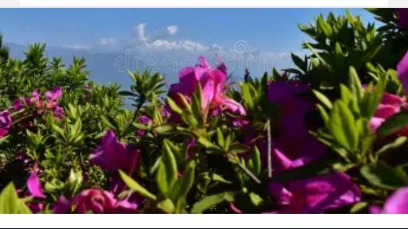 Hostel Pathi Bunkers