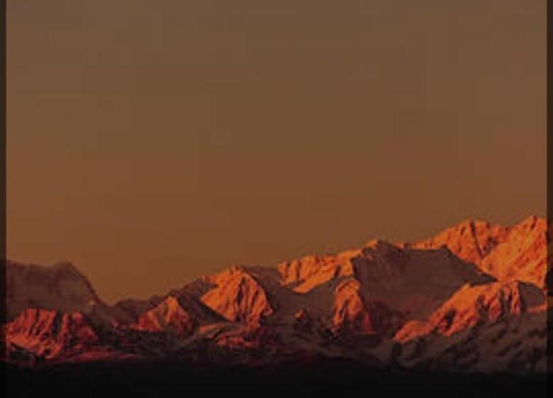 Hostel Pathi Bunkers