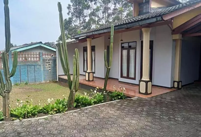 Bed and Breakfast Villa Matahari