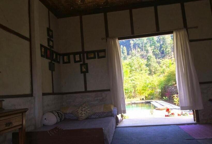 Hotel Petrichor Farms