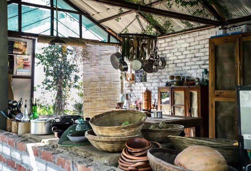 Hotel Petrichor Farms