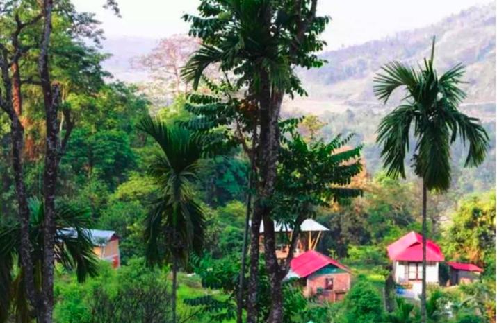 Hotel Petrichor Farms