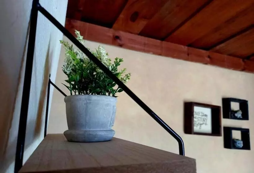 پانسیون Casa Jireh