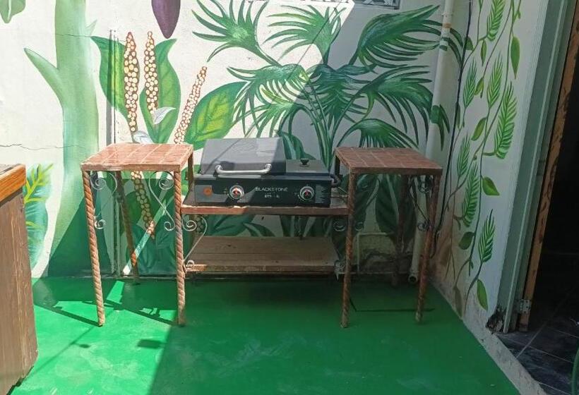 Пансион Tree Cabin