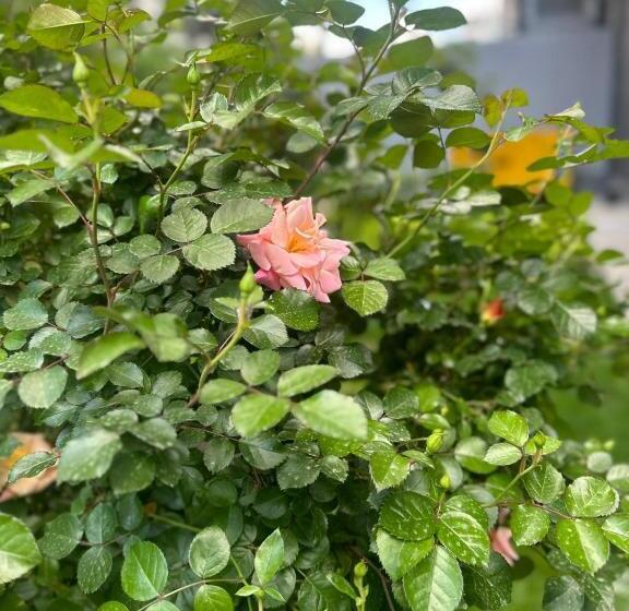 Your House Apart Otel