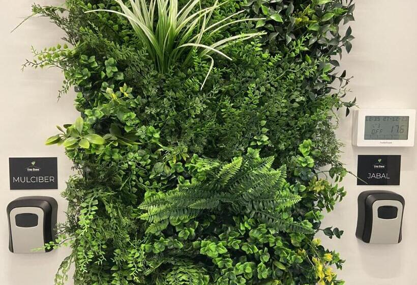 تختخواب و صبحانه Etna Stone