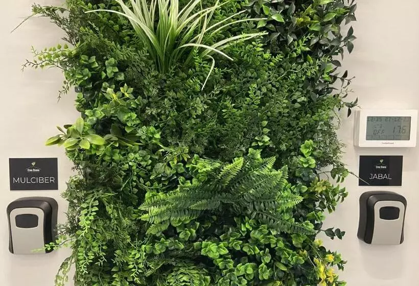 ベッドアンドブレックファースト Etna Stone