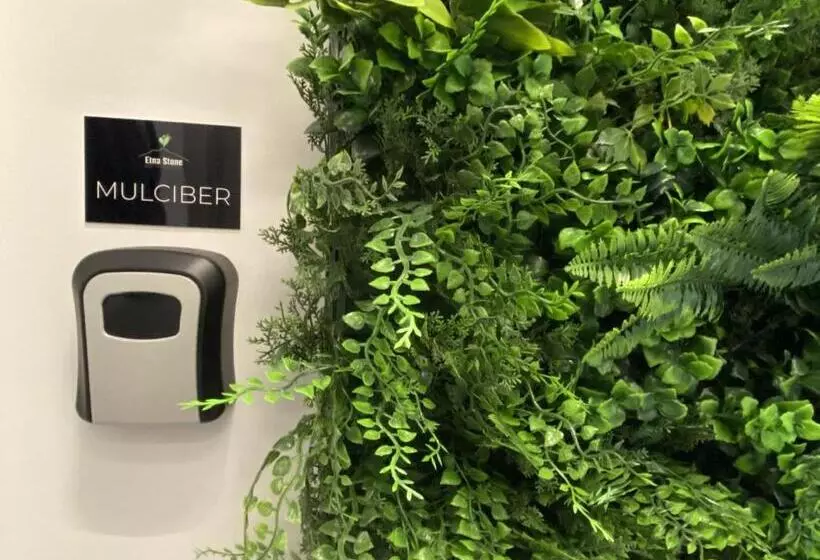 ベッドアンドブレックファースト Etna Stone