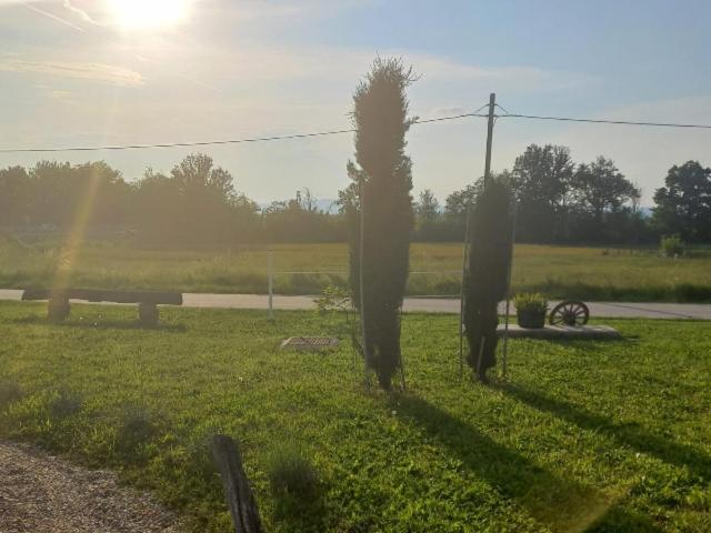 ベッドアンドブレックファースト La Boheme