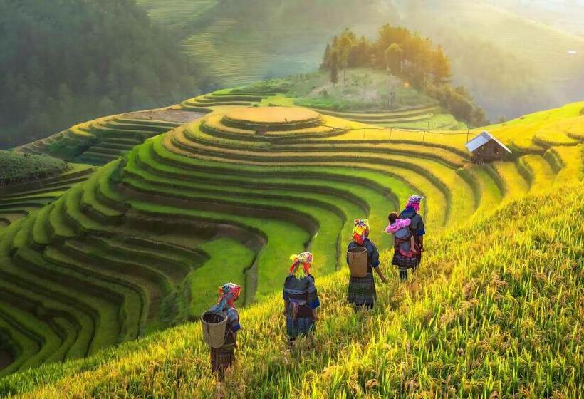 هتل Central Sapa March