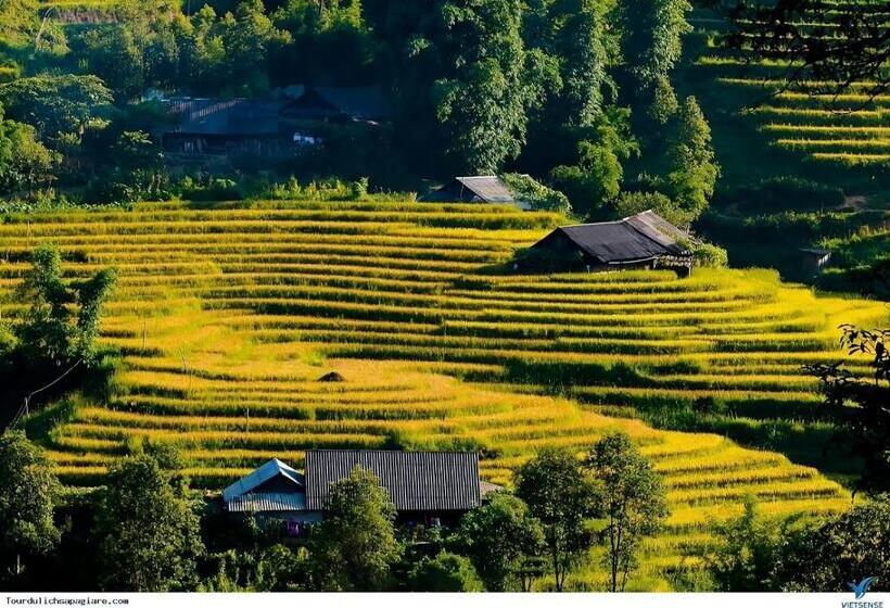 هتل Central Sapa March