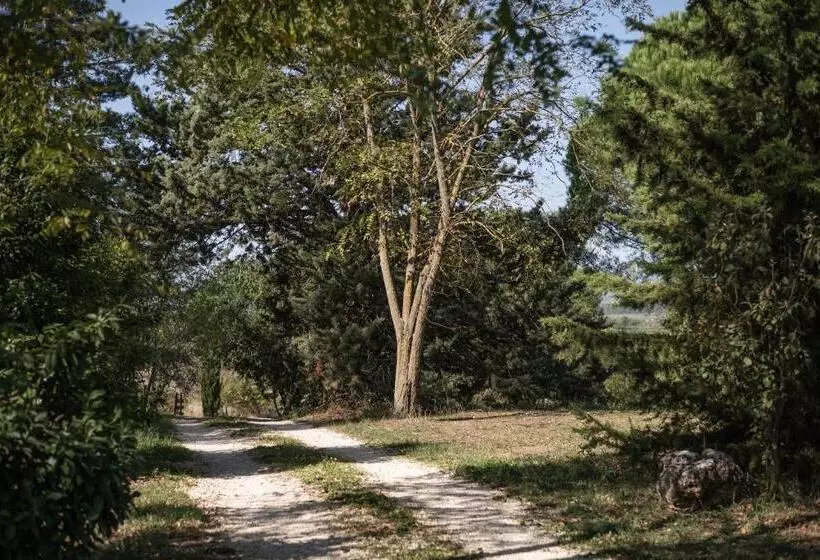 Hotelli Sasso Bianco