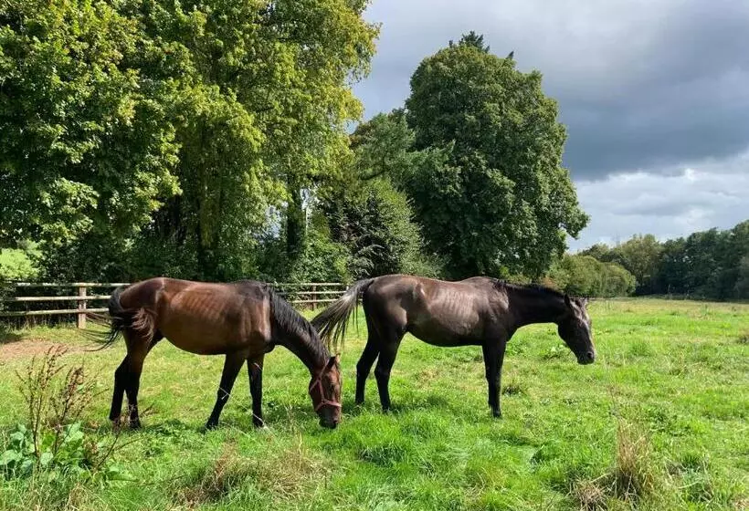Majatalo Aile Privée Au Sein D’un Haras