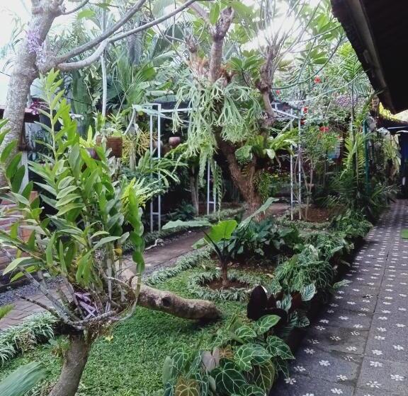 膳宿费 Buratwangi Tropis House