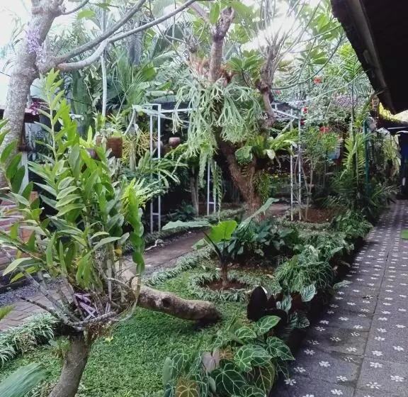 ペンション Buratwangi Tropis House
