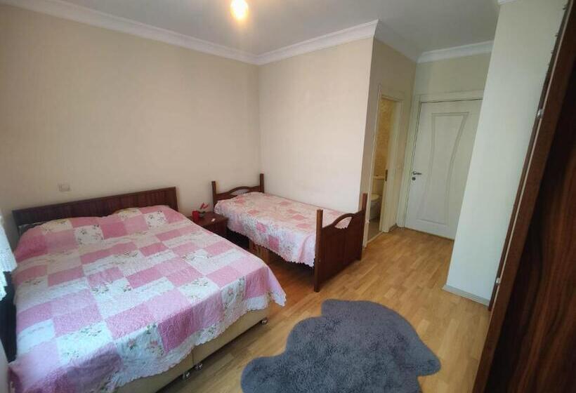 פנסיון Sabiha Gökçen Airport Ensuıte Private Room