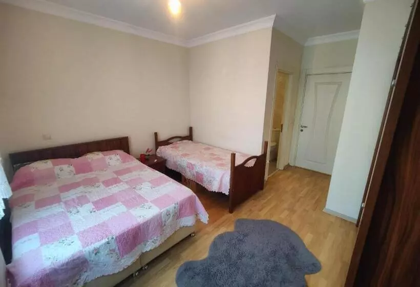 پانسیون Sabiha Gökçen Airport Ensuıte Private Room
