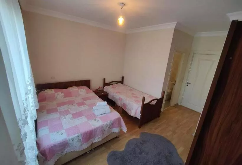 پانسیون Sabiha Gökçen Airport Ensuıte Private Room