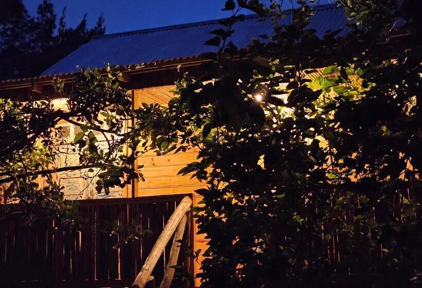 הוסטל Jabali Mountain Cabin