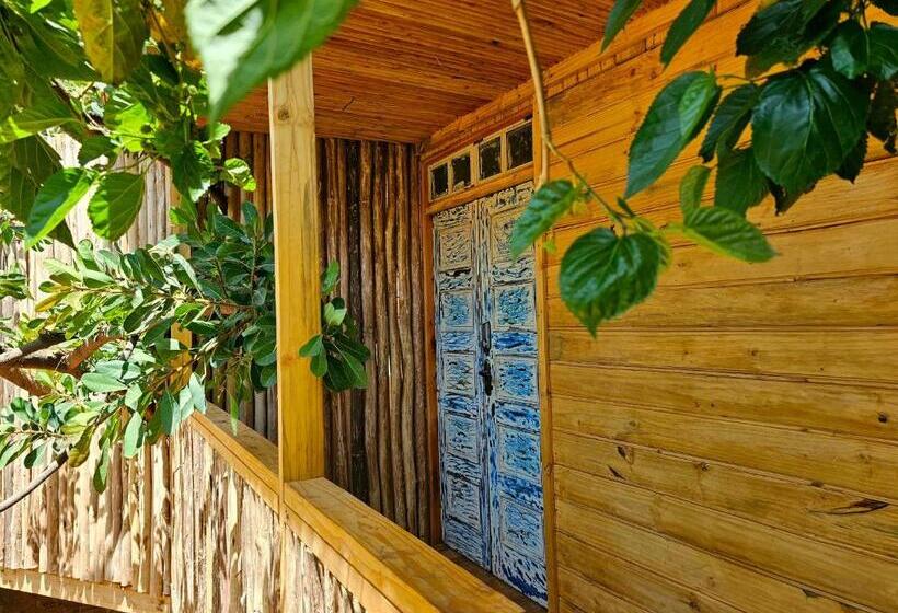 הוסטל Jabali Mountain Cabin