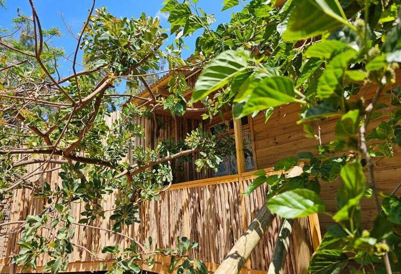 הוסטל Jabali Mountain Cabin