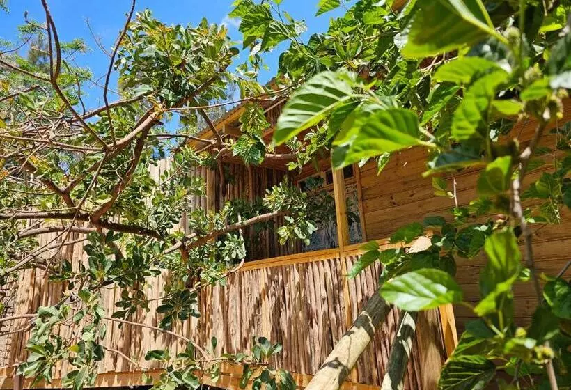 هاستل Jabali Mountain Cabin