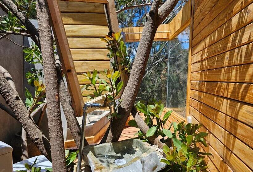 הוסטל Jabali Mountain Cabin