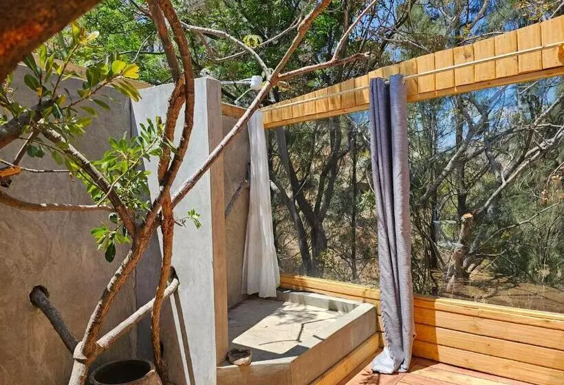 هاستل Jabali Mountain Cabin