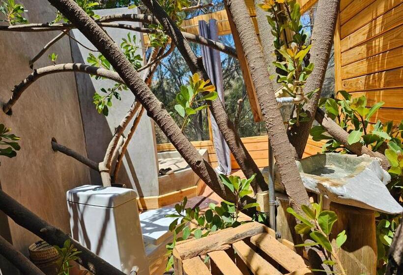 הוסטל Jabali Mountain Cabin