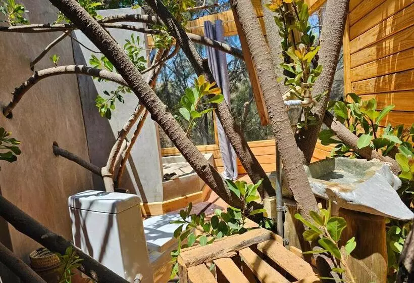 هاستل Jabali Mountain Cabin