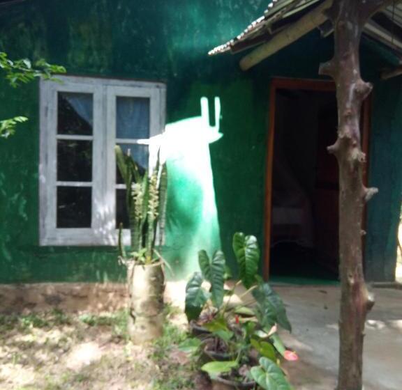 ベッドアンドブレックファースト Eiffin Moon Ella