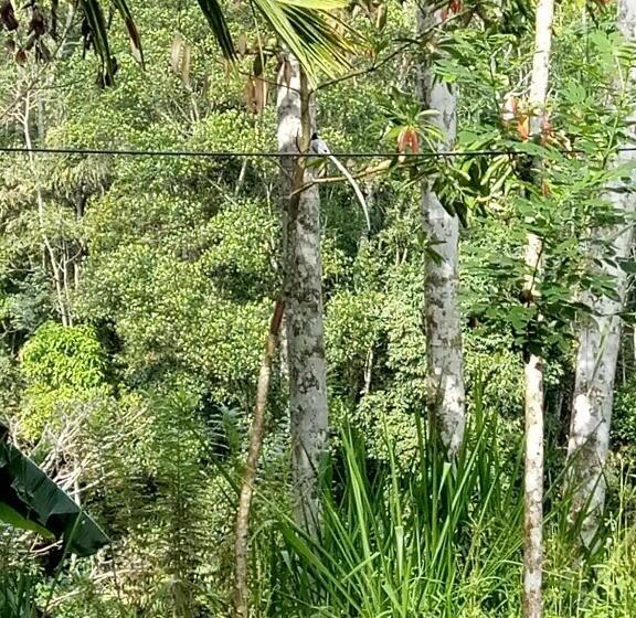 ベッドアンドブレックファースト Eiffin Moon Ella