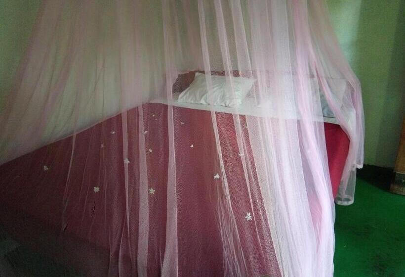 ベッドアンドブレックファースト Eiffin Moon Ella