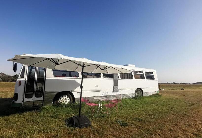 ホテル Bus Home Wonderwander Farmstay