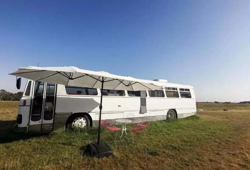 ホテル Bus Home Wonderwander Farmstay