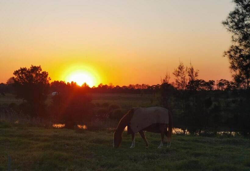 ホテル Bus Home Wonderwander Farmstay
