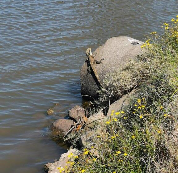 ホテル Bus Home Wonderwander Farmstay