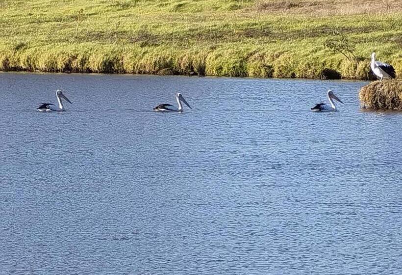 ホテル Bus Home Wonderwander Farmstay