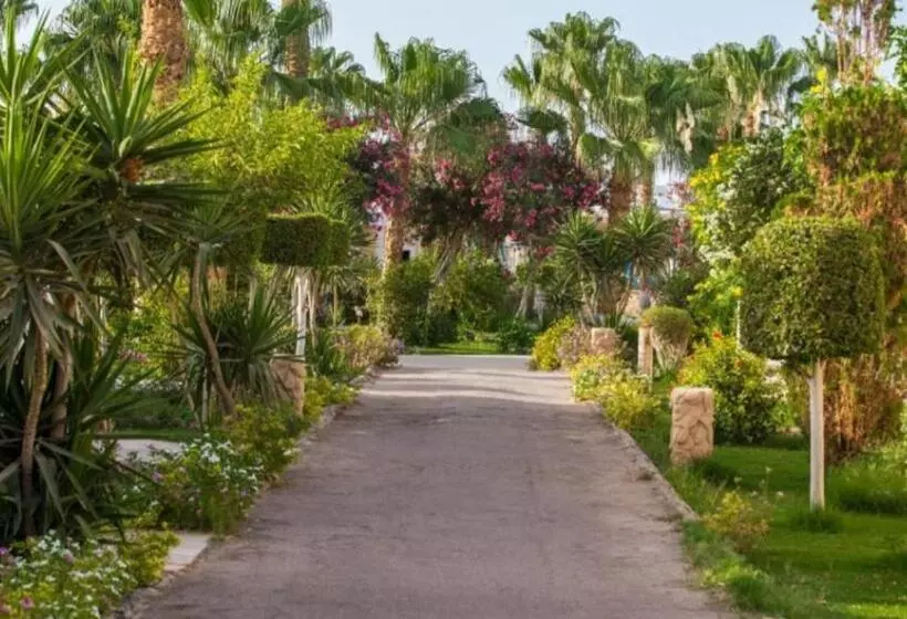 هتل Lillyland Mirage Bay & Aqua Park