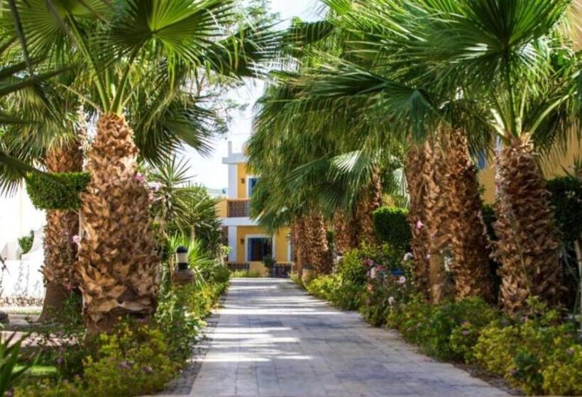 هتل Lillyland Mirage Bay & Aqua Park