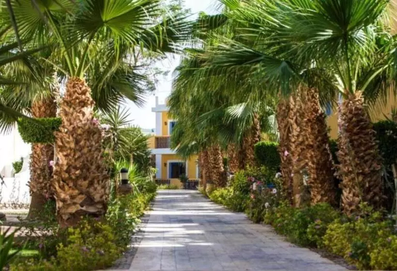 هتل Lillyland Mirage Bay & Aqua Park