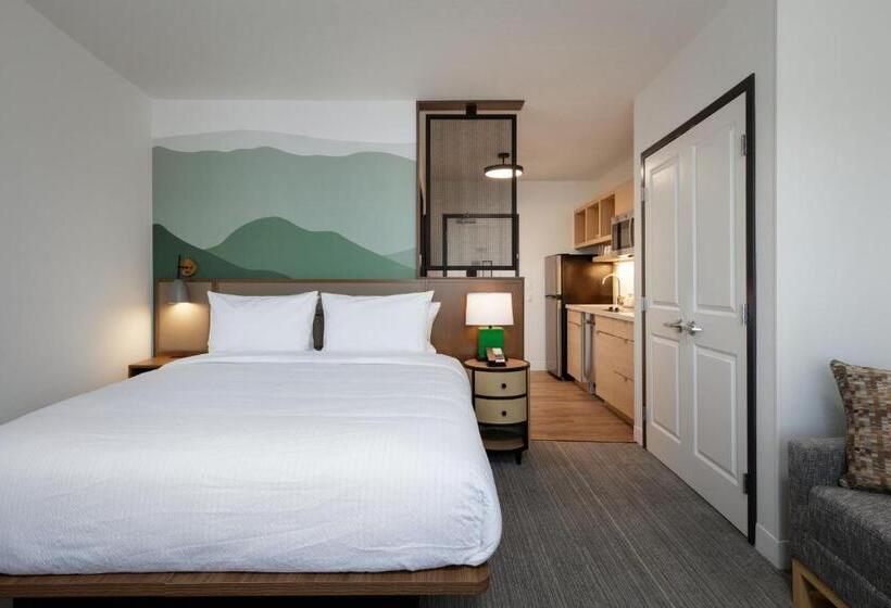 酒店 Towneplace Suites By Marriott Denver North Thornton