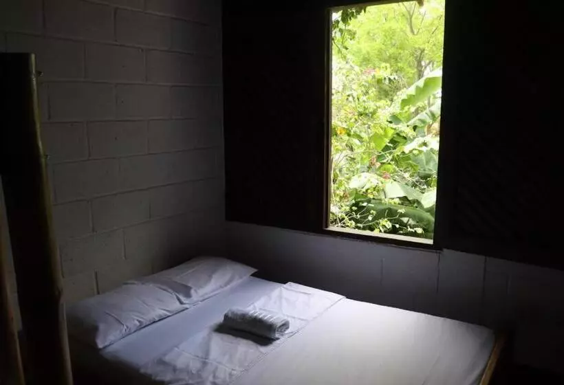 ペンション Afro Hostel