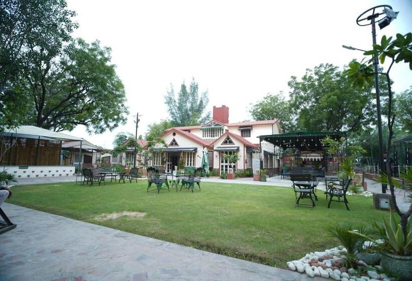 Hotel The Trade International, Jaipur