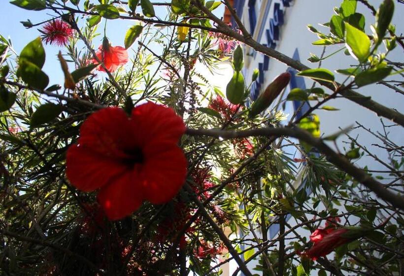 ホテル Captains Log House