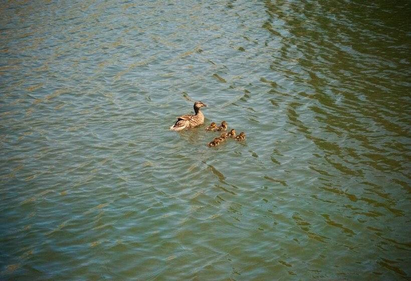 Отель Country Hideaway At Mountain Lakes Resort