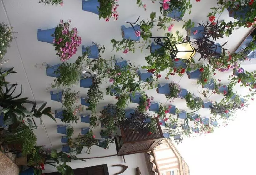 ホテル La Posada Del Infante