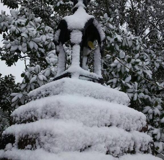 Отель Shadowlawn Bed And Breakfast