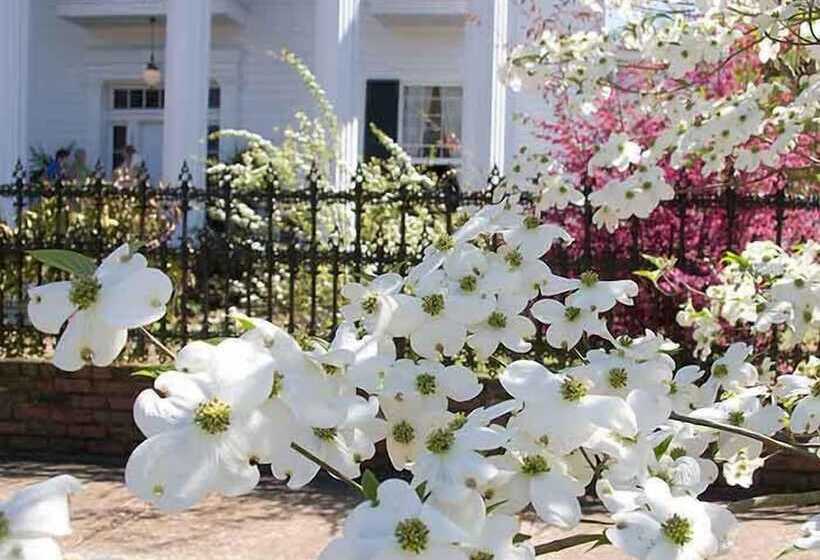 Отель Shadowlawn Bed And Breakfast