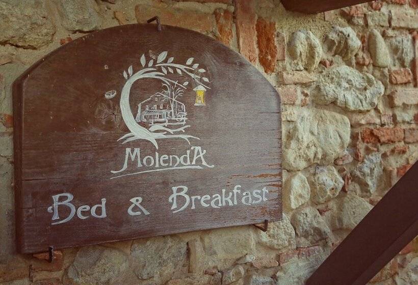 Molenda B&b